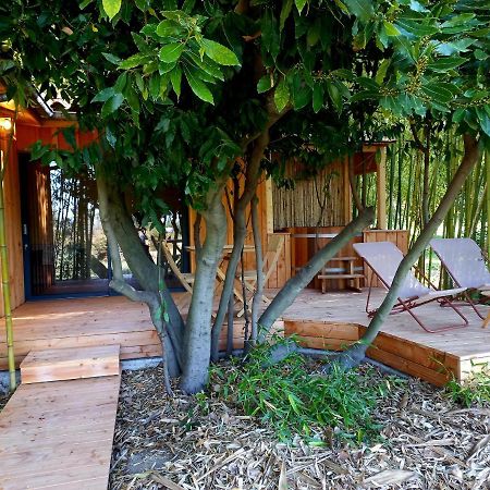Maisonette Et Spa Bois La Bégude-de-Mazenc Εξωτερικό φωτογραφία